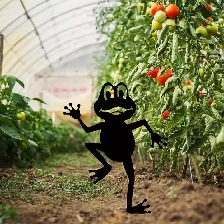 2025052207035567